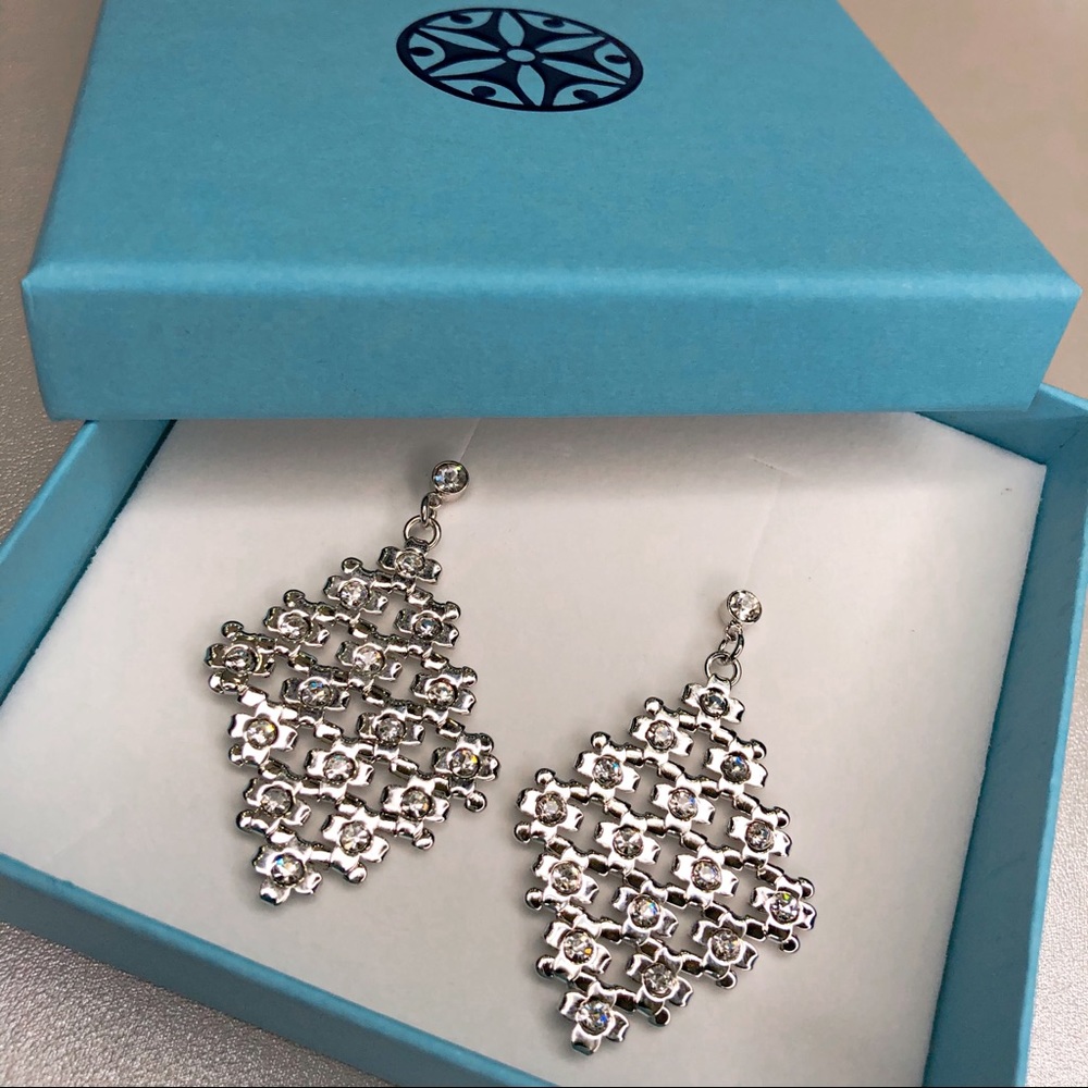 Beautiful Silver Earrings